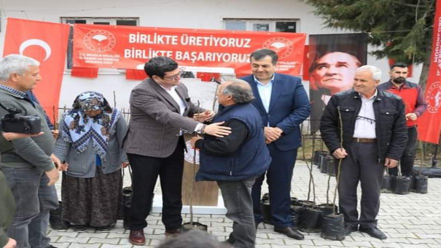 Dalaman'da 11 mahallede incir fidan dağıtımı yapıldı