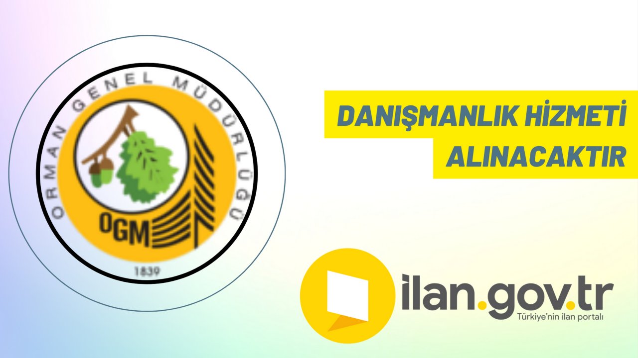 Danışmanlık hizmeti alınacaktır