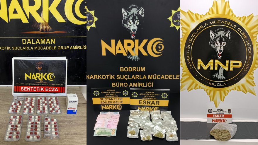 Muğla'da uyuşturucu operasyonunda yakalanan 12 zanlı tutuklandı