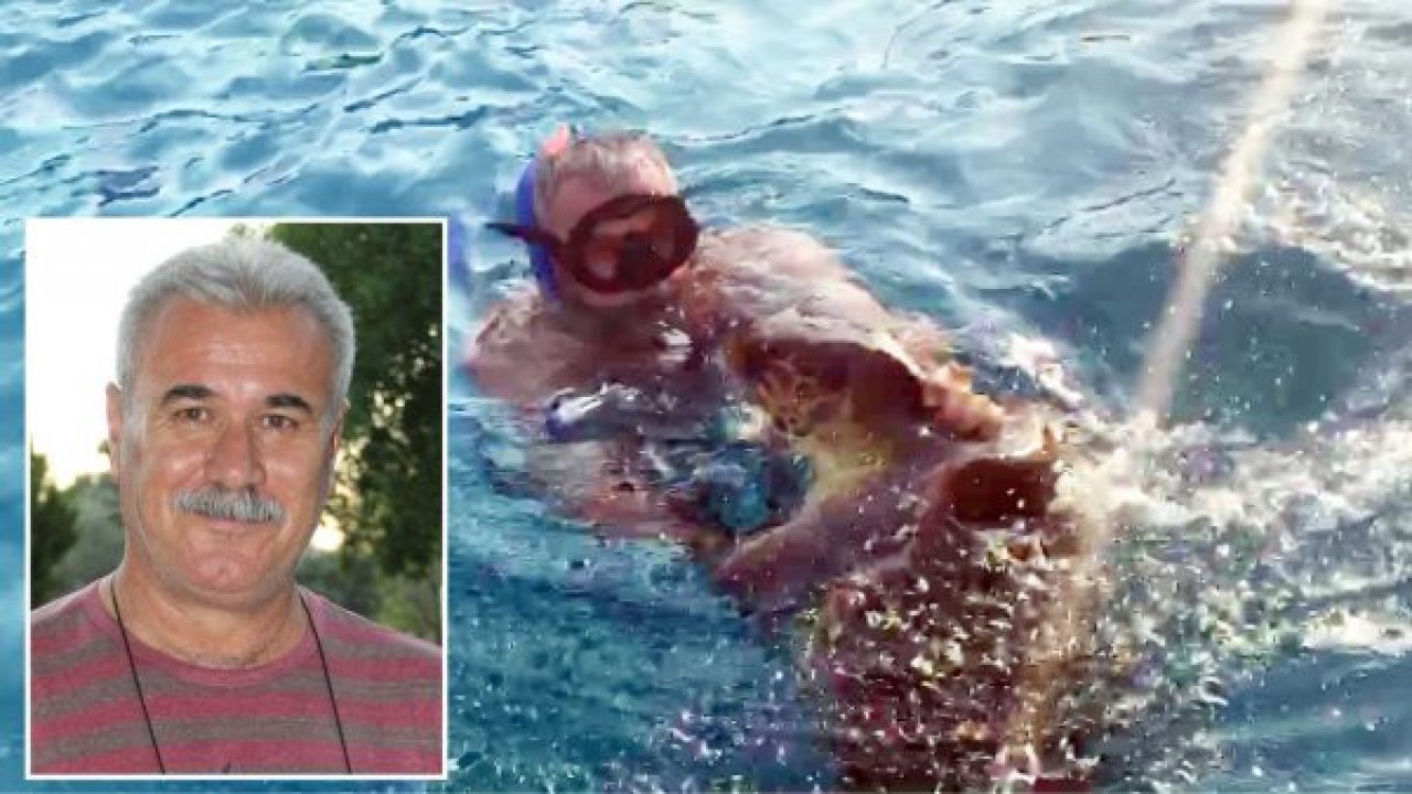 Caretta caretta saldırısı