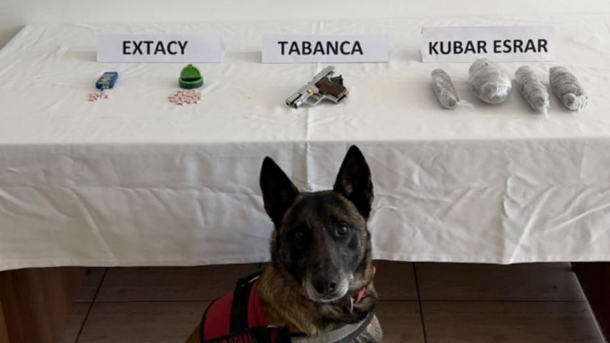 Bodrum’da arama esnasında uyuşturucu madde ele geçirildi