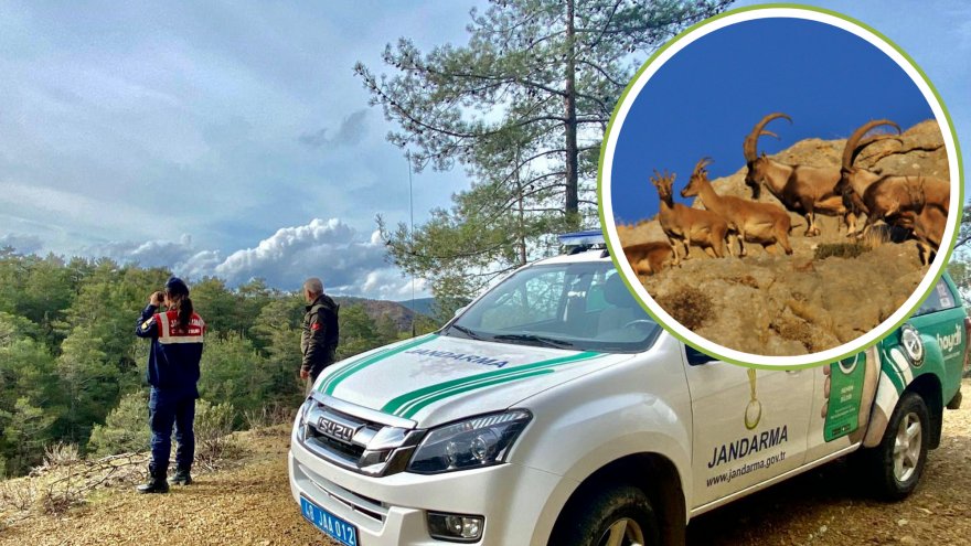 Köyceğiz’de yasak av kontrolü yapıldı