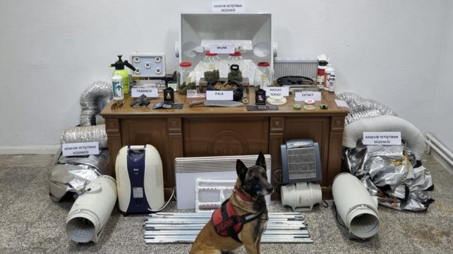 Bodrum’da uyuşturucu operasyonu: 1 gözaltı