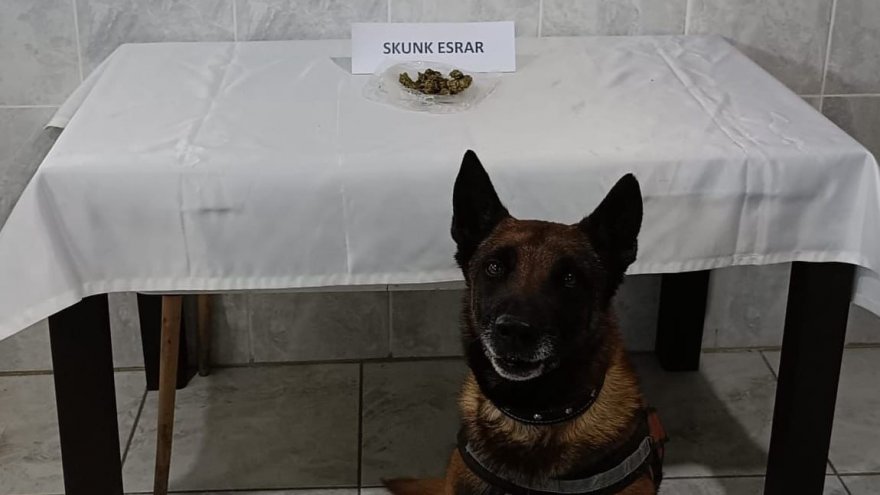 Yol kontrol sırasında durdurulan araçlarda uyuşturucu yakalandı