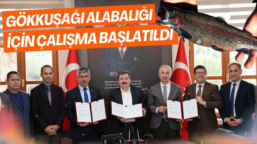 GÖKKUŞAĞI ALABALIĞI İÇİN ÇALIŞMA BAŞLATILDI