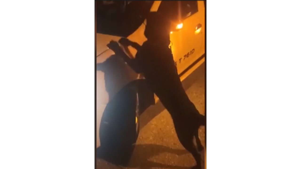 Muğla'da uyuşturucu ticareti yaptığı öne sürülen taksi şoförü tutuklandı