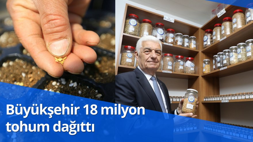 Büyükşehir 18 milyon tohum dağıttı