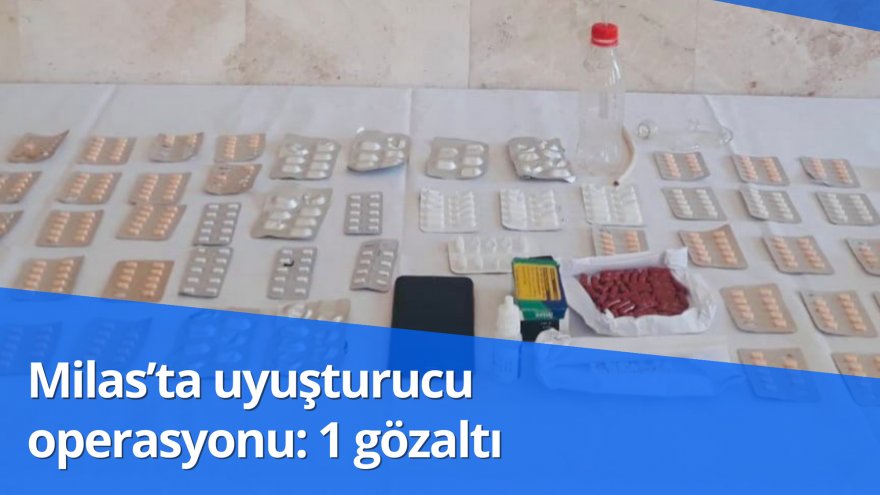 Milas’ta uyuşturucu operasyonu: 1 gözaltı