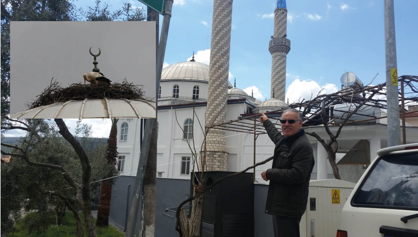 RAMAZAN BEREKETİNE LEYLEKLER DE EŞLİK EDİYOR