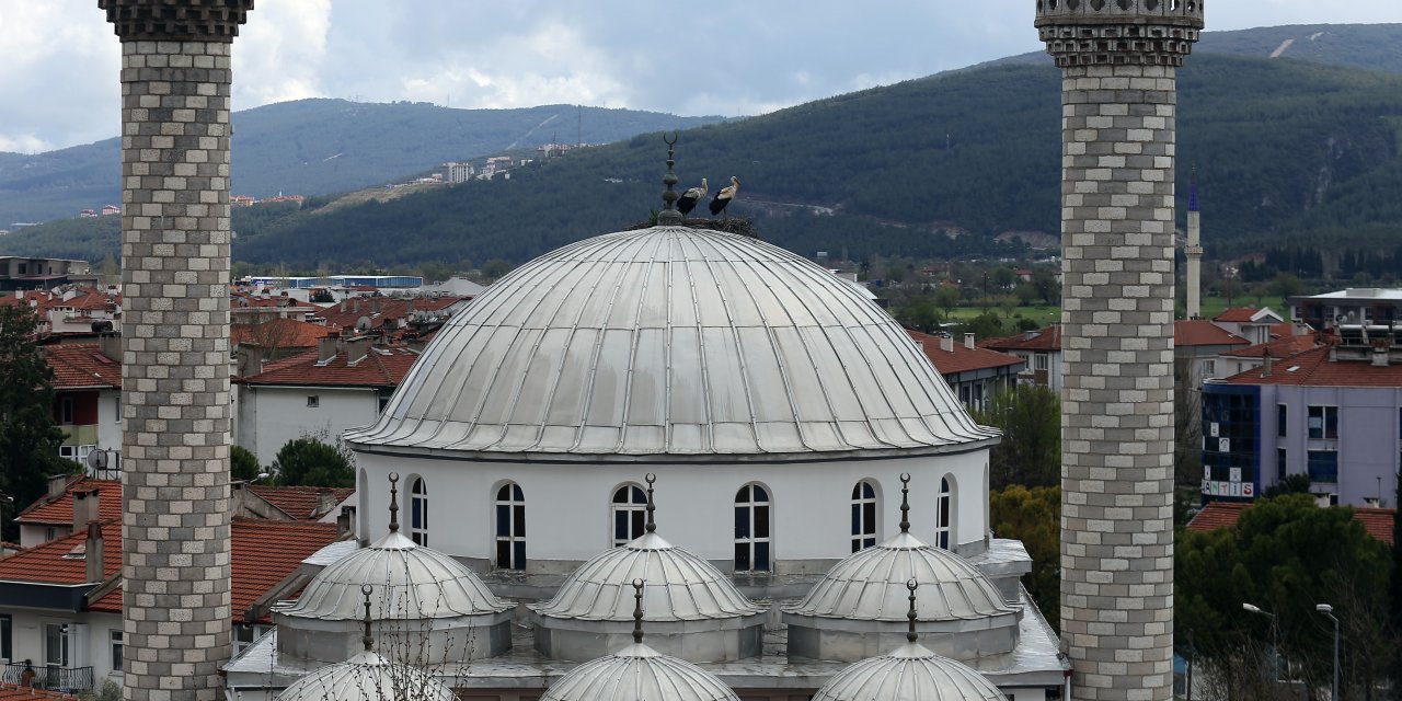 21 YILDIR AYNI KUBBEYE YUVA KURUYOR