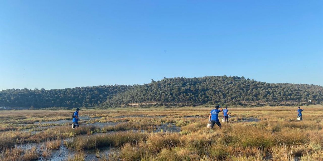BÜYÜKŞEHİR VEKTÖRLE MÜCADELE ÇALIŞMALARINA DEVAM EDİYOR