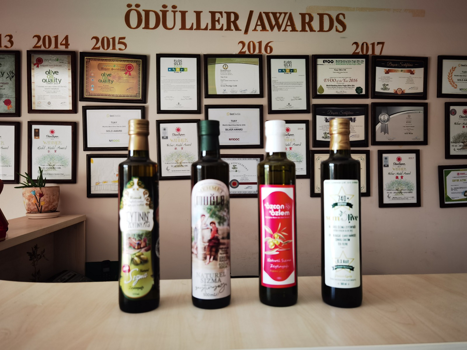 ZEYTİNYAĞI KALİTE YARIŞMASINDA YATAĞAN’A 5 ÖDÜL