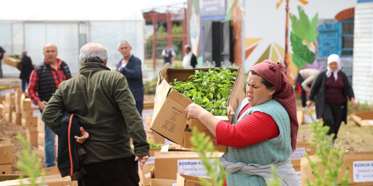 BODRUM’DA 350 BİN FİDE ÜRETİCİYLE BULUŞTURULDU