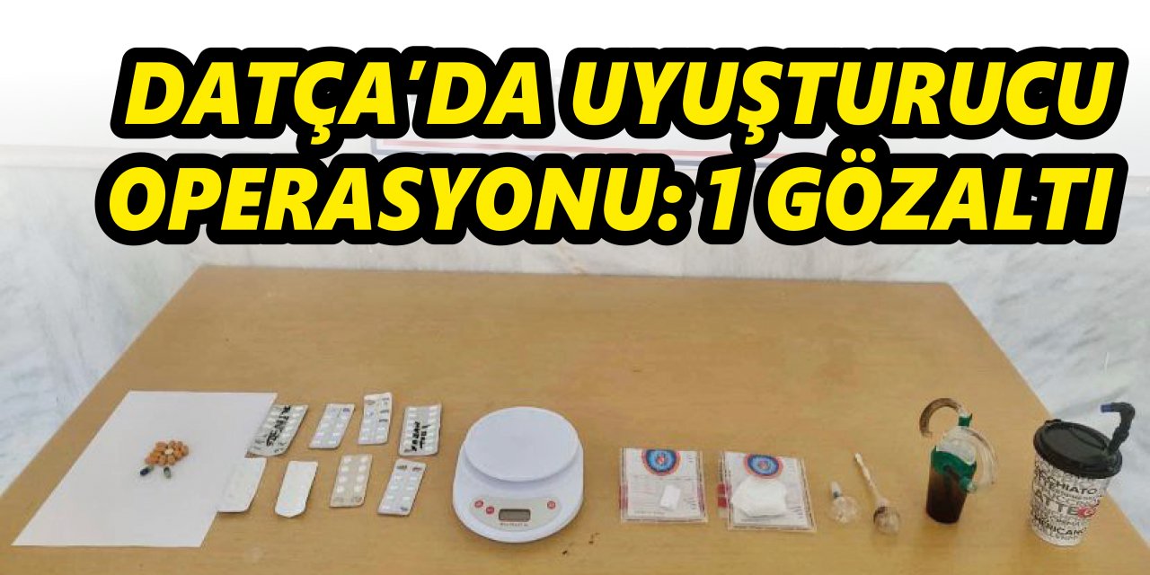 Datça’da uyuşturucu operasyonu: 1 gözaltı