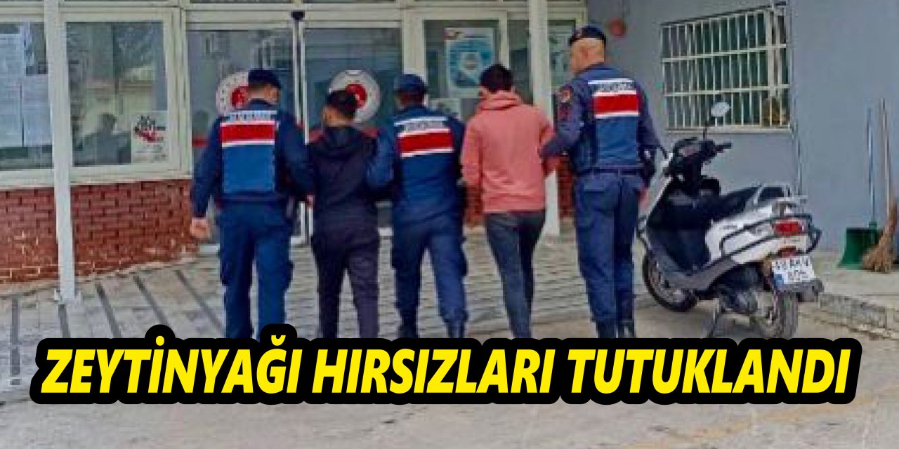 Zeytinyağı hırsızları tutuklandı