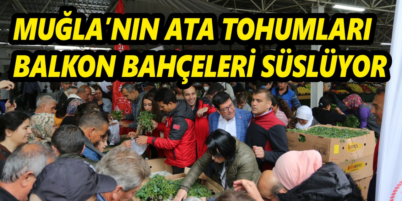 MUĞLA’NIN ATA TOHUMLARI BALKON BAHÇELERİ SÜSLÜYOR