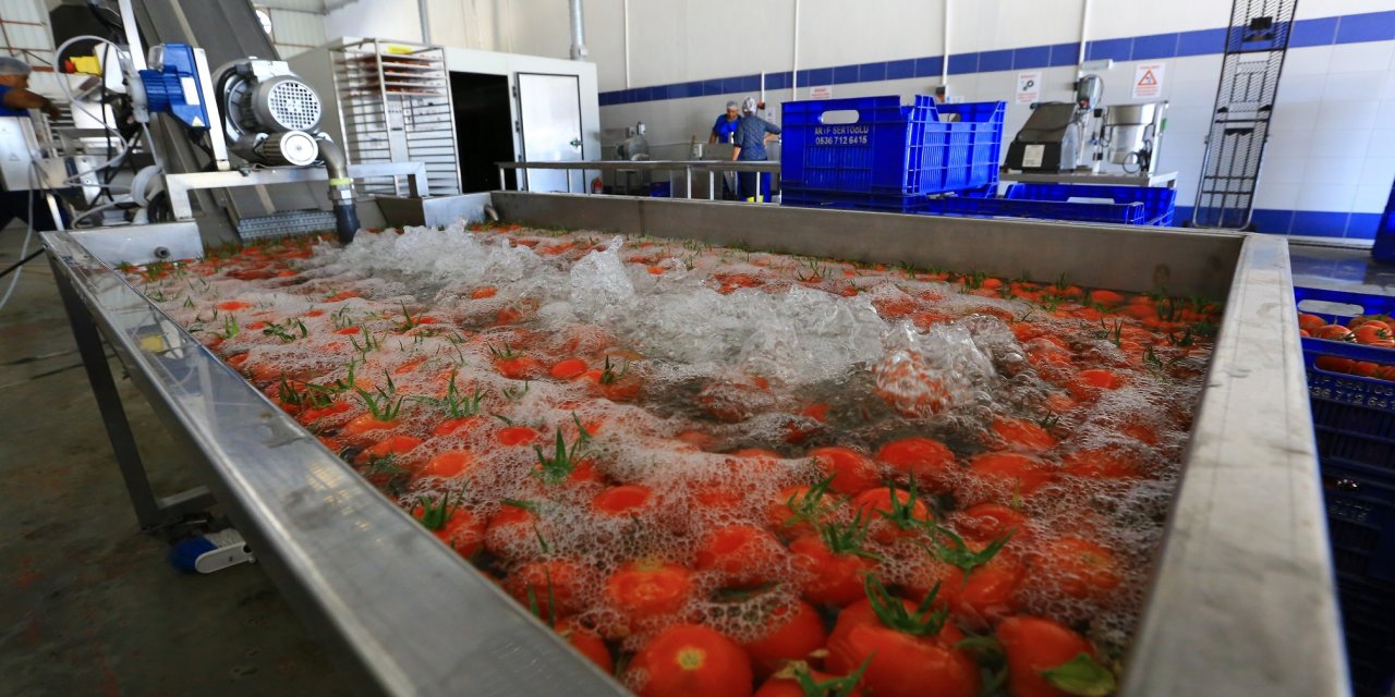 MUĞLA’NIN ÜRÜNLERİNE DEĞER KATAN TESİS