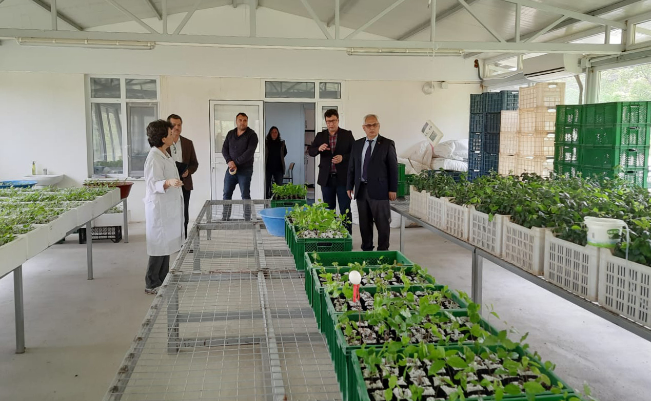 Bölge Müdürü Karabulut  Trüf Aşılı Meşe Fidanı Üretim Merkezine Ziyaret