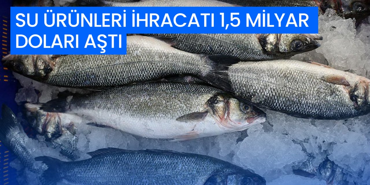 SU ÜRÜNLERİ İHRACATI 1,5 MİLYAR DOLARI AŞTI