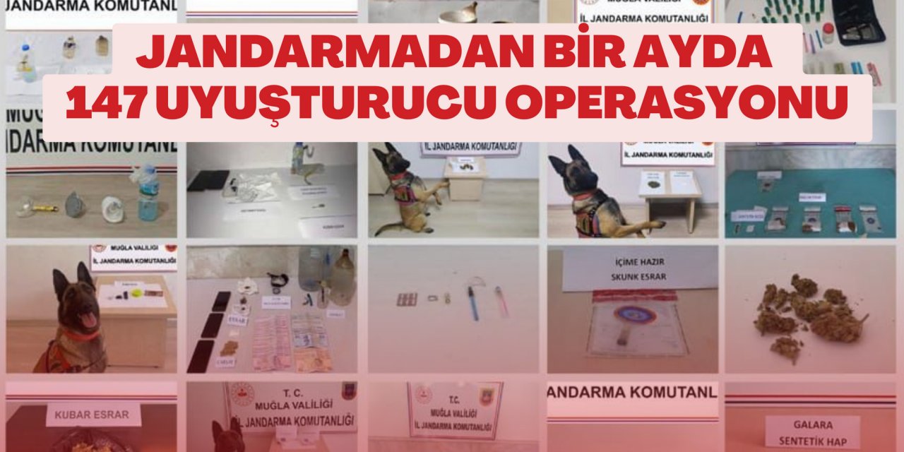 JANDARMADAN BİR AYDA 147 UYUŞTURUCU OPERASYONU