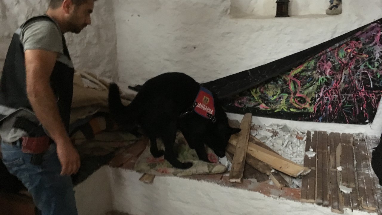 Narkotik köpeği “Engel” uyuşturucu tacirlerinin korkulu rüyası