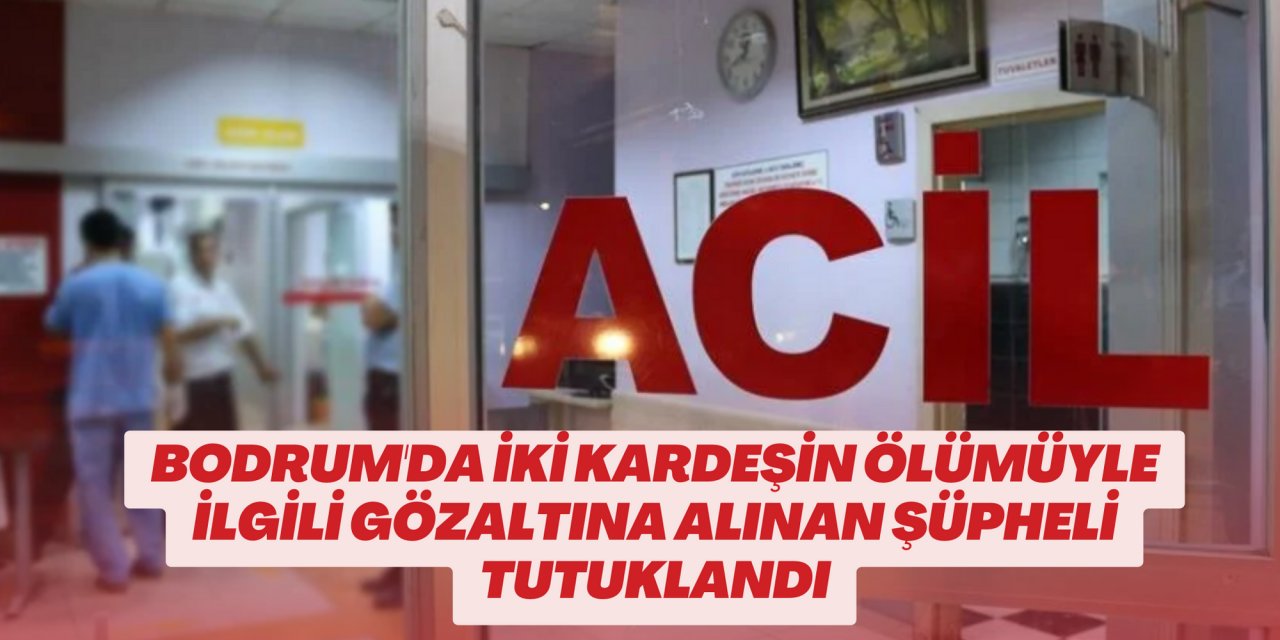 Bodrum'da iki kardeşin ölümüyle ilgili gözaltına alınan şüpheli tutuklandı