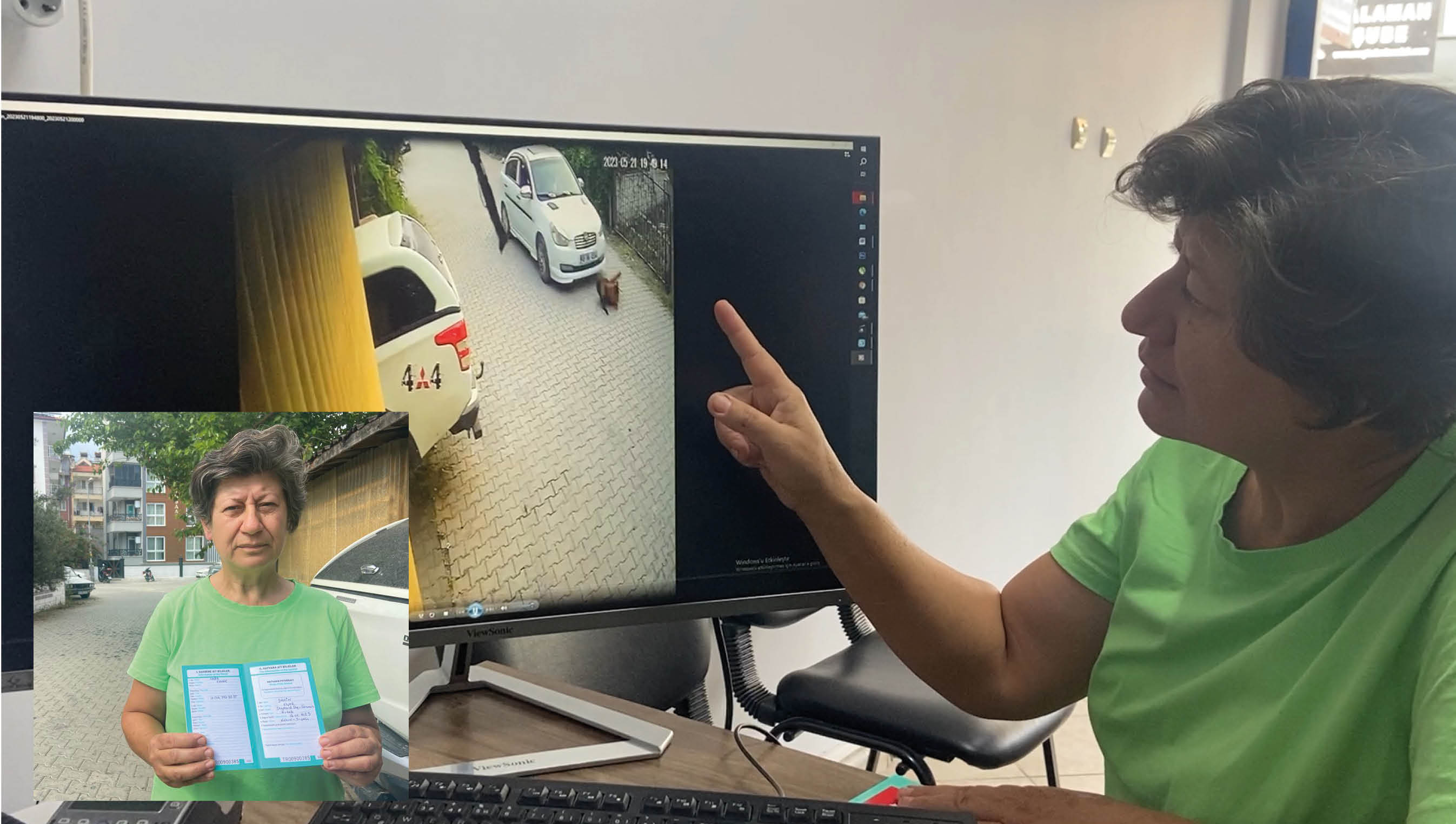 OTOMOBİLİN ÇARPTIĞI YAVRU KÖPEK TELEF OLDU