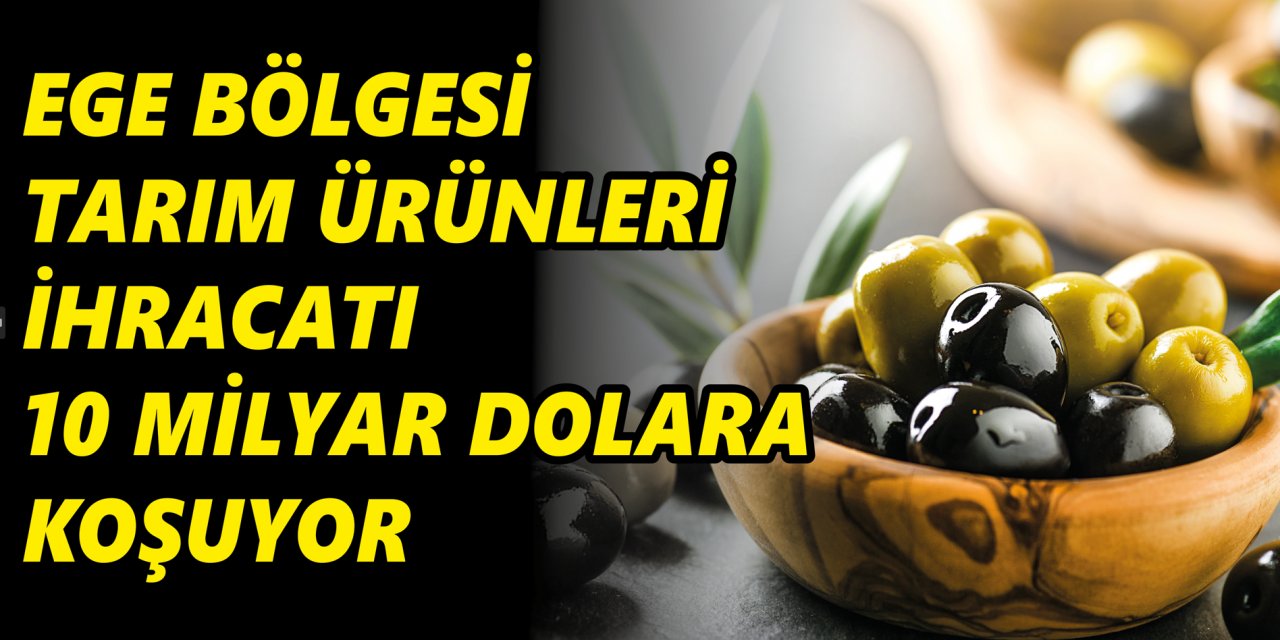 Ege Bölgesi tarım ürünleri ihracatı 10 milyar dolara koşuyor