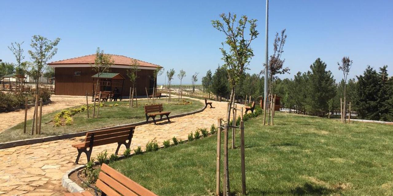 'Millet ormanı' sayısı bu yıl 19'a çıkacak