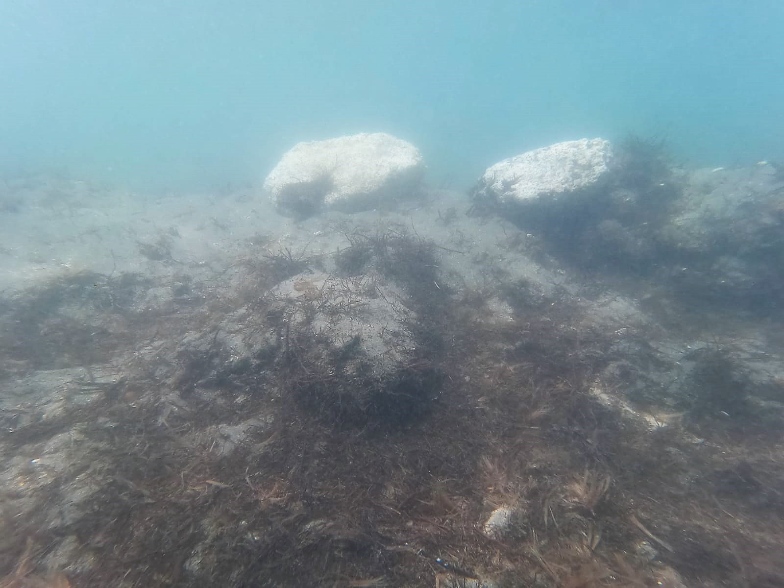 DURDURULAN ÇALIŞMANIN VERDİĞİ HASAR GÖZLER ÖNÜNE SERİLDİ