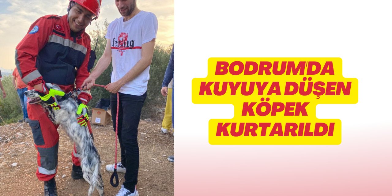 Bodrum'da kuyuya düşen köpek kurtarıldı