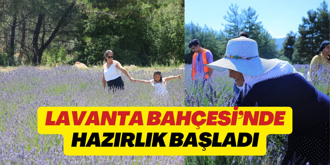 LAVANTA BAHÇESİ’NDE HAZIRLIK BAŞLADI