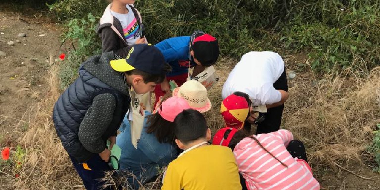 Datça'da doğayı koruma eğitimi verilen çocuklara "Doğa Kaşifi" rozeti takıldı