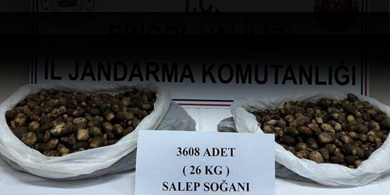 Kaçak salep soğanı toplayan 2 kişiye 488 bin lira ceza