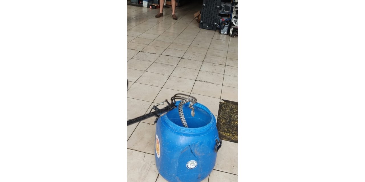 Fethiye'de otomobilin kaportasına giren yılan yakalanarak doğaya salındı
