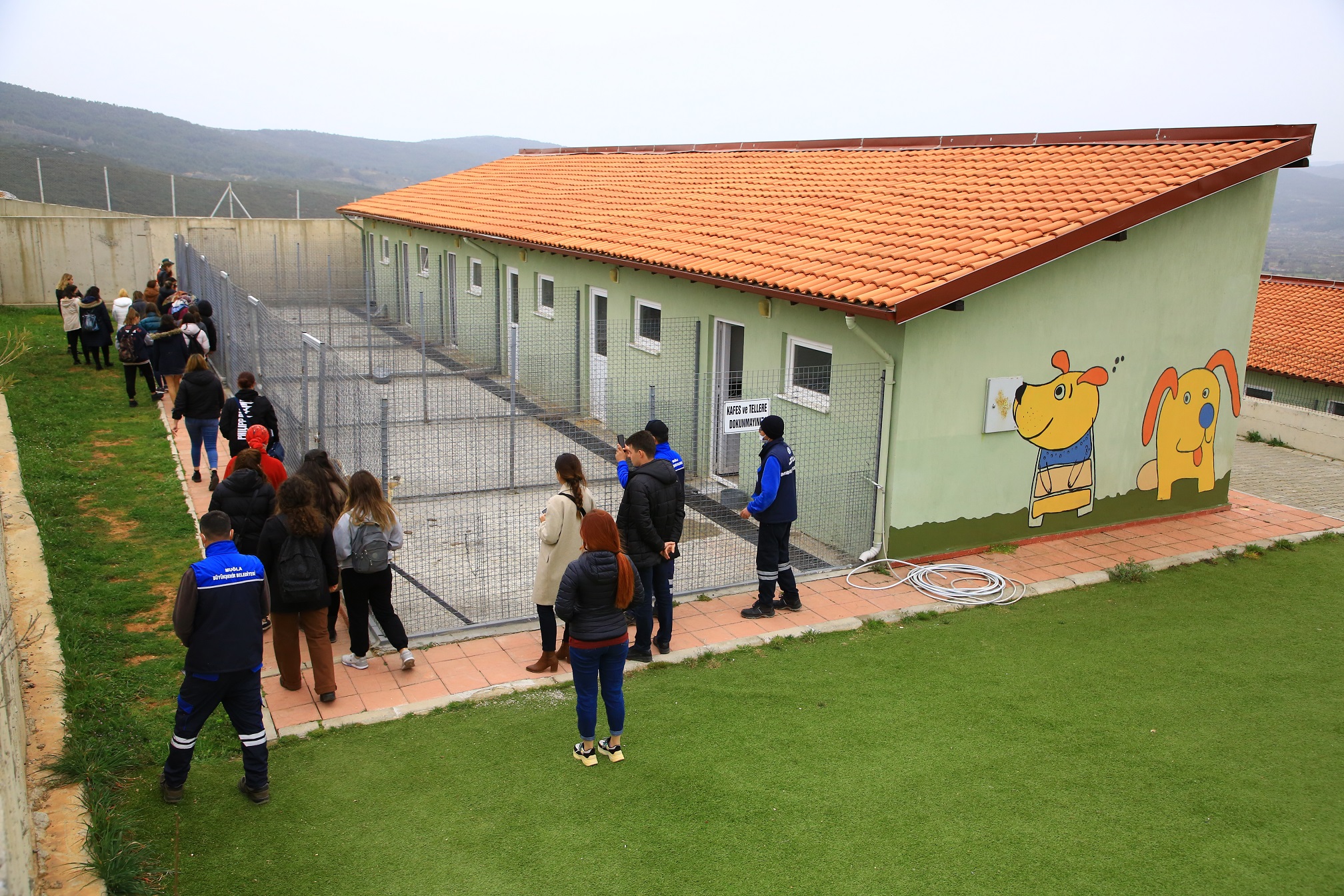 Büyükşehir Geçici Hayvan Bakımevi Can Dostlar İçin Çalışıyor