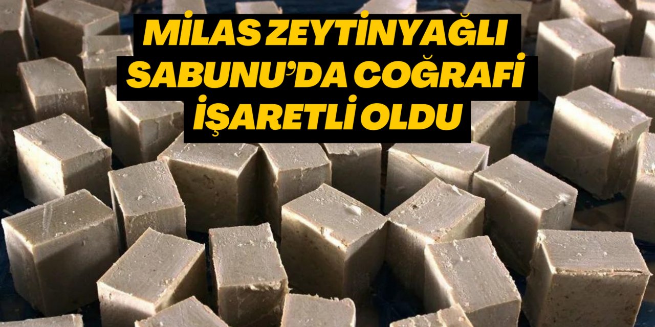 MİLAS ZEYTİNYAĞLI SABUNU’DA COĞRAFİ İŞARETLİ OLDU