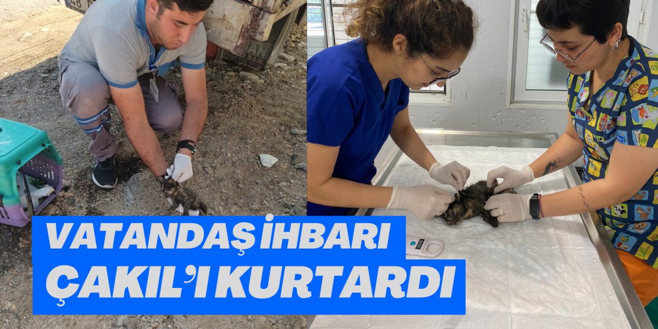 VATANDAŞ İHBARI ÇAKIL’I KURTARDI
