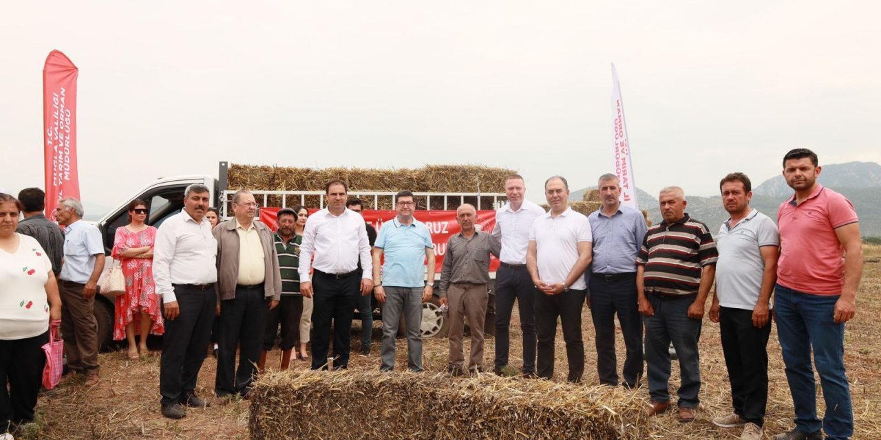 MİLAS’TA 2 BİN SAMAN BALYASI DAĞITILDI