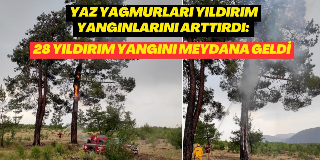 YAZ YAĞMURLARI YILDIRIM YANGINLARINI ARTTIRDI: 28 YILDIRIM YANGINI MEYDANA GELDİ
