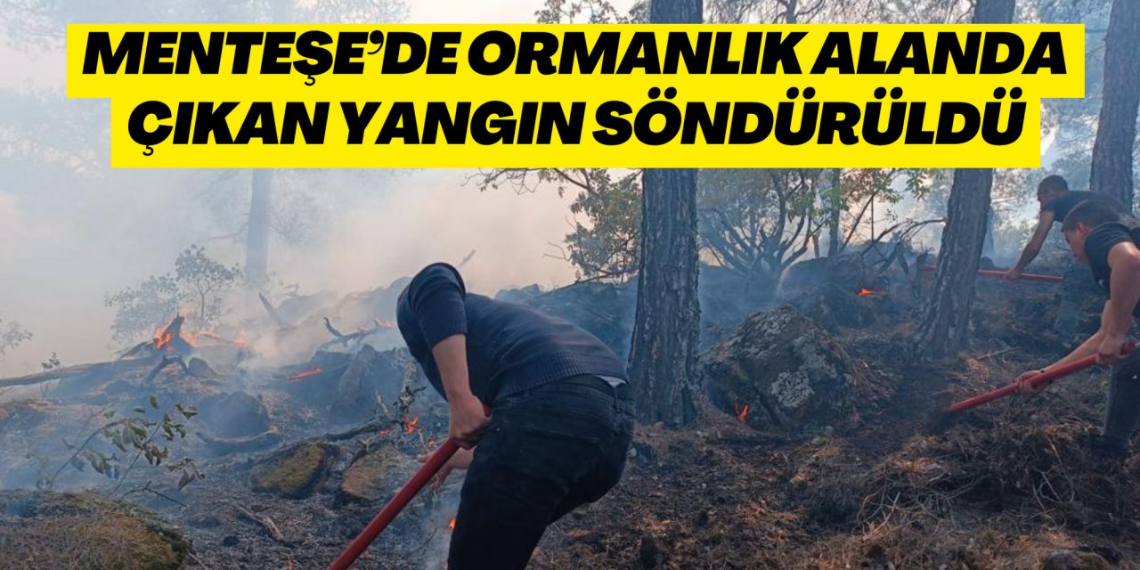Menteşe’de ormanlık alanda çıkan yangın söndürüldü