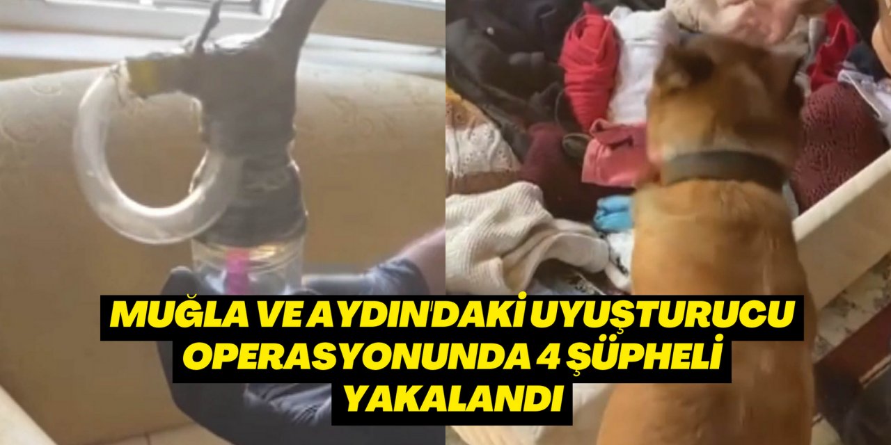 Muğla ve Aydın'daki uyuşturucu operasyonunda 4 şüpheli yakalandı