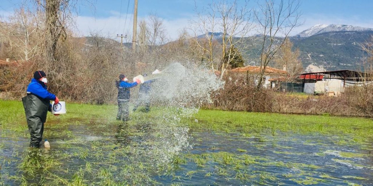 YAĞMURLAR SONRASI VEKTÖRLE MÜCADELE ÇALIŞMALARI SÜRÜYOR