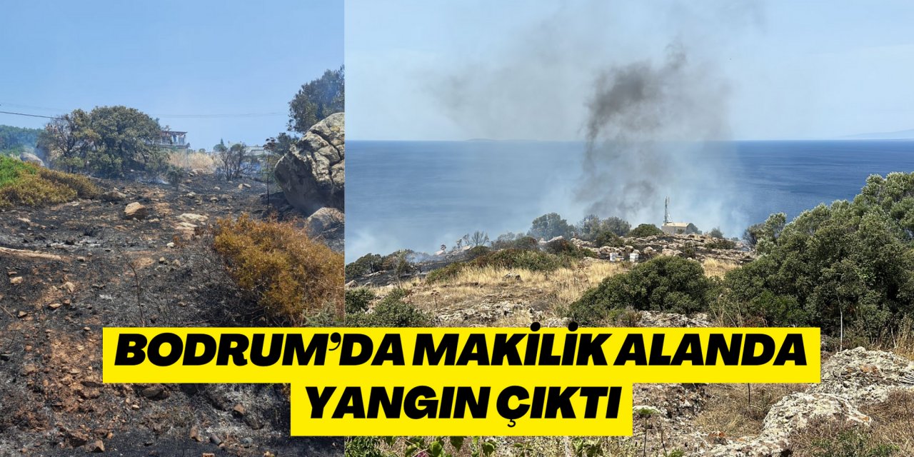 BODRUM’DA MAKİLİK ALANDA YANGIN ÇIKTI
