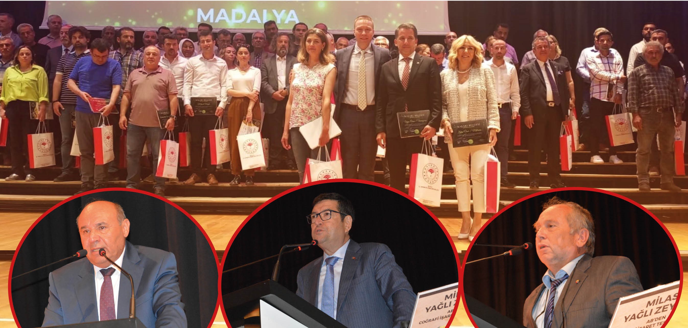 Muğla’da en iyi zeytinyağı üreticileri ödüllendirildi