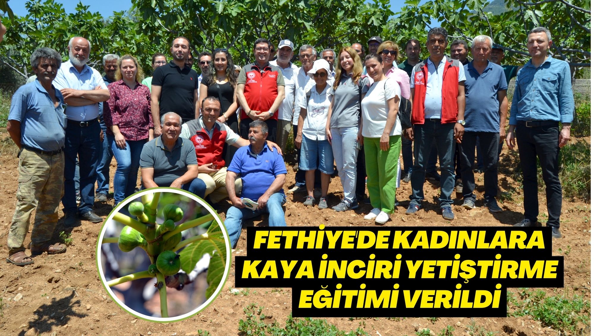 Fethiye'de kadınlara kaya inciri yetiştirme eğitimi verildi