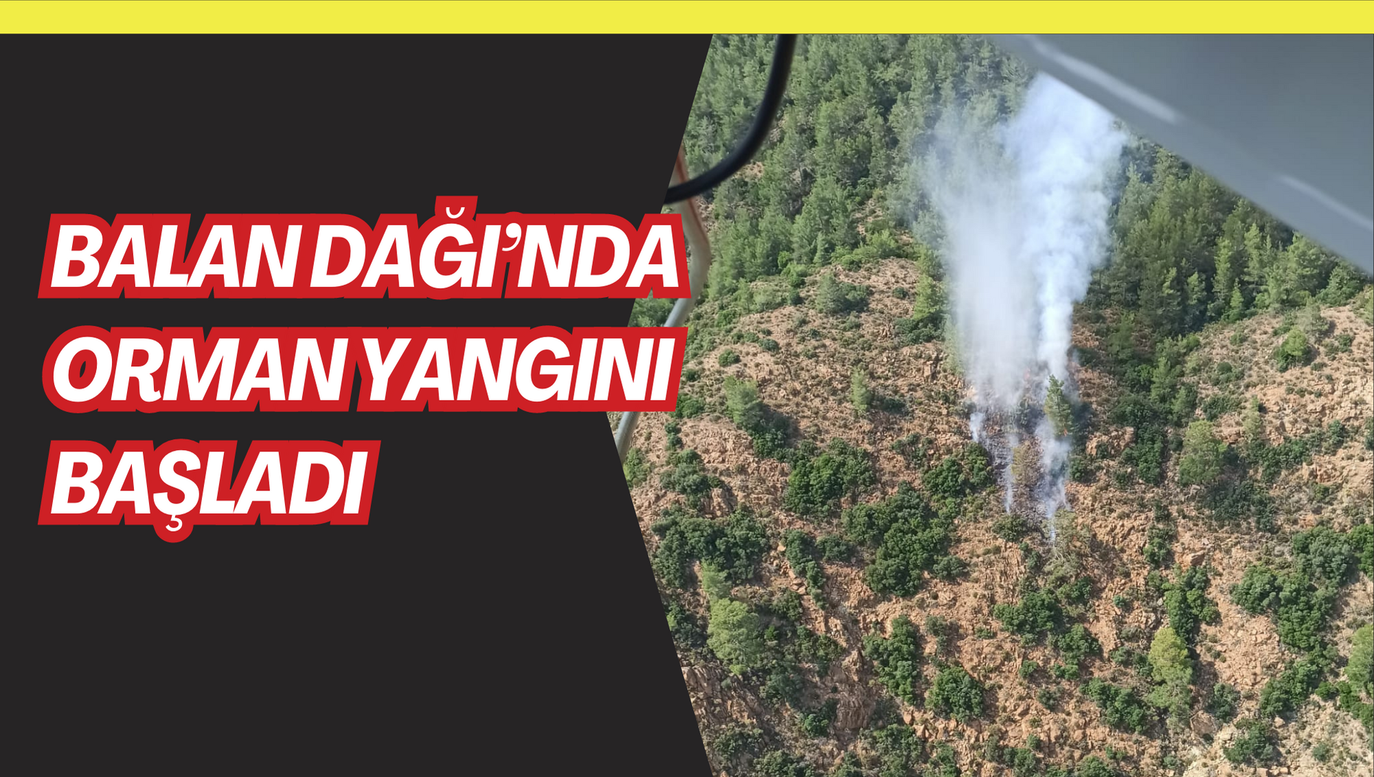 Balan Dağı’nda orman yangını başladı