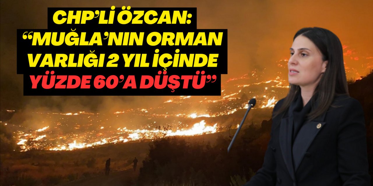 CHP’Lİ ÖZCAN, “MUĞLA’NIN ORMAN VARLIĞI 2 YIL İÇİNDE YÜZDE 60’A DÜŞTÜ”