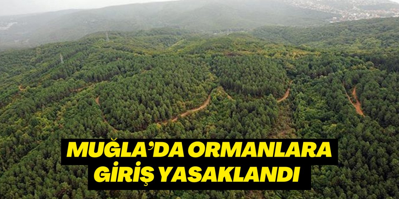 Muğla’da ormanlara giriş yasaklandı