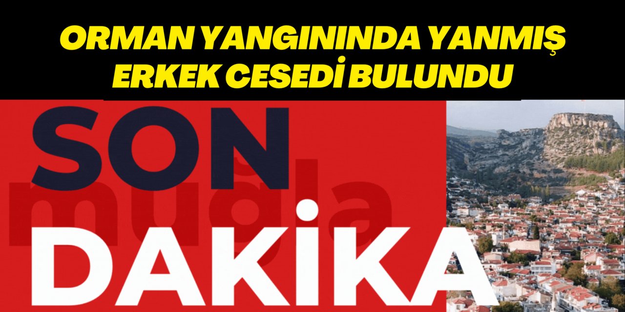 Orman yangınında yanmış erkek cesedi bulundu